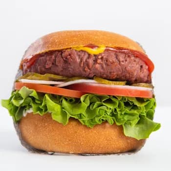 Hamburger Plant Based  🌱