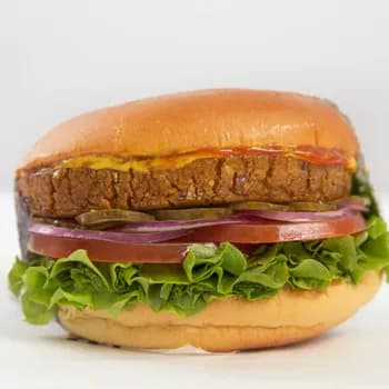 Hamburger Vegetariana Regular